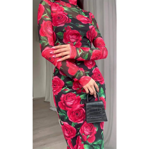 Attractive long-sleeved rose dress in retro E-girl style