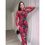 Attractive long-sleeved rose dress in retro E-girl style